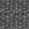 Timeless Treasures Halloween Spider On Web Spooky Cobwebs Arachnid Webs Black (TT Pick Your Poison 7)