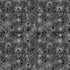 Timeless Treasures Halloween Spider On Web Spooky Cobwebs Arachnid Webs Black (TT Pick Your Poison 7)