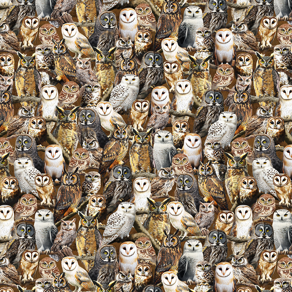 Windham Fabrics 55032D-1 Multi 100% Cotton Fabric – Owl Quilting & Craft Material (Windham Wildlife 2)