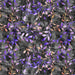 Crafty By Chatham Glyn CC305 BATIK TRAIL 05 100% Cotton Digital Extra Wide Fabric Remnant (53cm x 140cm CC Batik Trail 5)