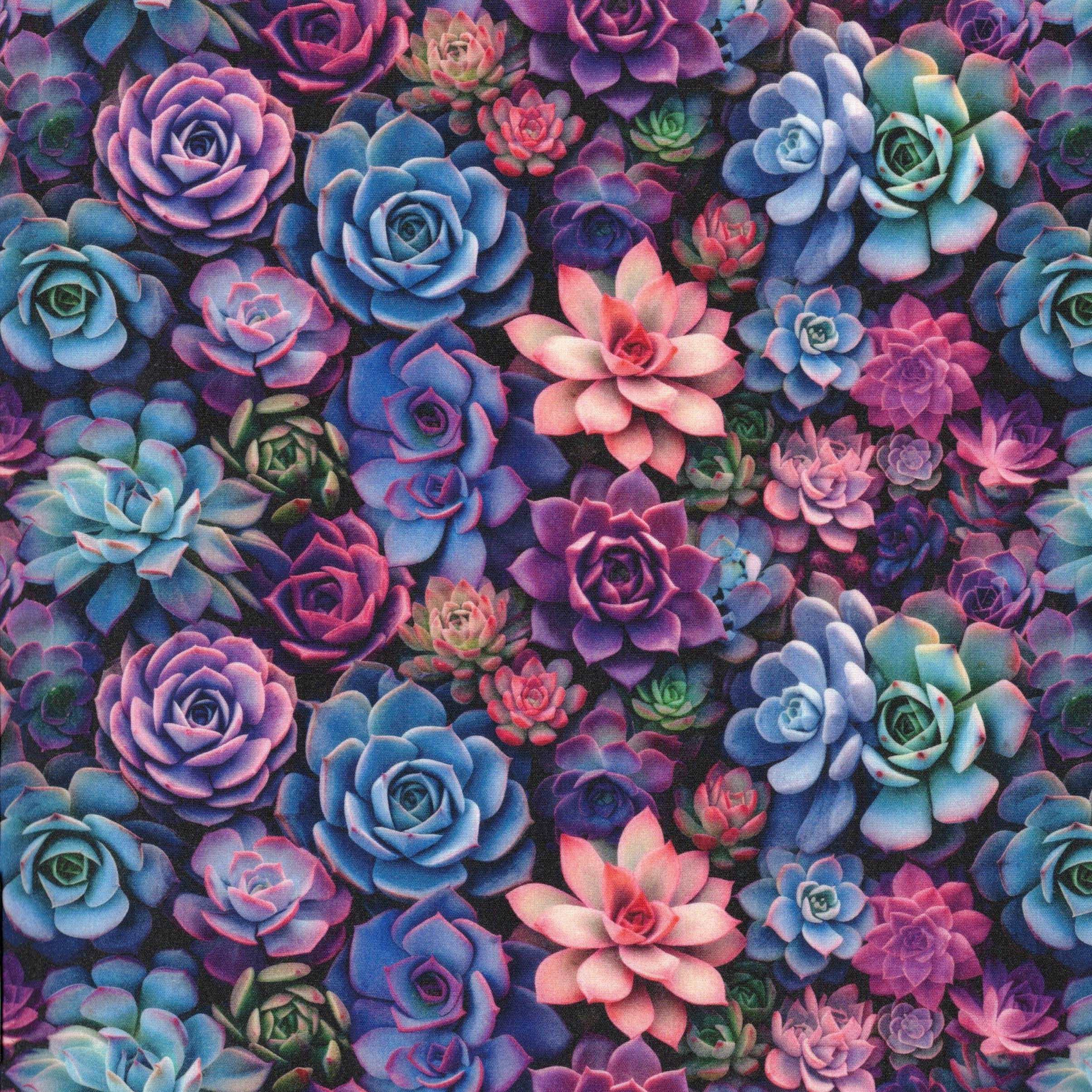 Quirky Cottons Flowers Roses Floral Nature Multi-Coloured (QC Magical Succulents- 1 METRE PIECE)